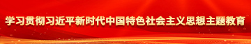 透女人屄学习贯彻习近平新时代中国特色社会主义思想主题教育